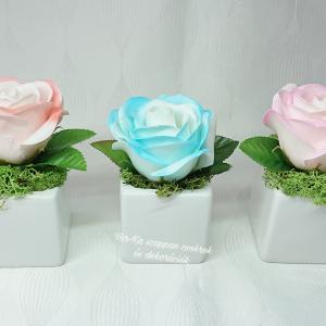 Nagy szappanrózsa kerámia kaspóban