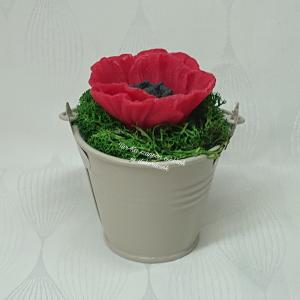 Pipacs kis fém vödörben