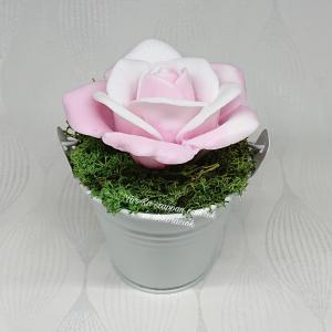 Szappanrózsa kis fém vödörben