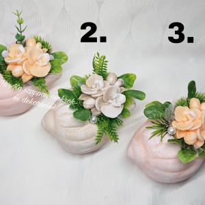 Szappanvirágok csigaházban (orchidea)