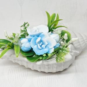 Szappanvirágok csigaházban (orchidea)
