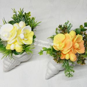 Szappanvirágok csigaházban (orchidea)