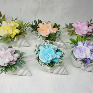 Szappanvirágok csigaházban (orchidea)