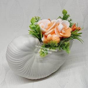 Szappanvirágok (orchidea) csigaházban