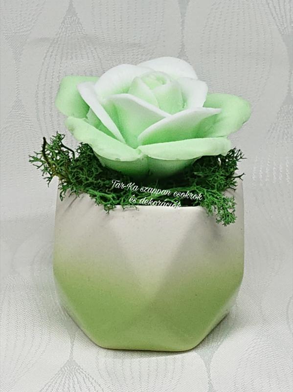 Zöld szappanrózsa színátmenetes kerámia kaspóban