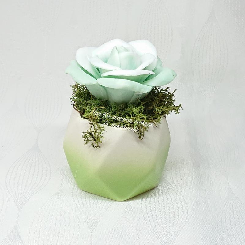 Zöld szappanrózsa színátmenetes kerámia kaspóban