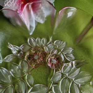 CSE04 - Walther Glas / Mikasa Rosella hullámos szélű, virág mintás üvegtál, tálaló