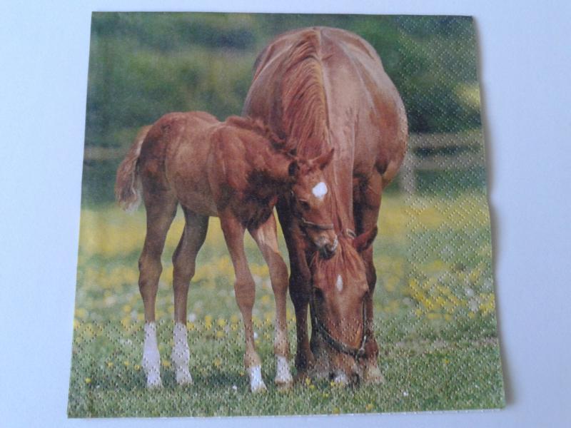 SZV05 Dekoupage - Ló és kiscsikó a réten 3 rétegű szalvéta