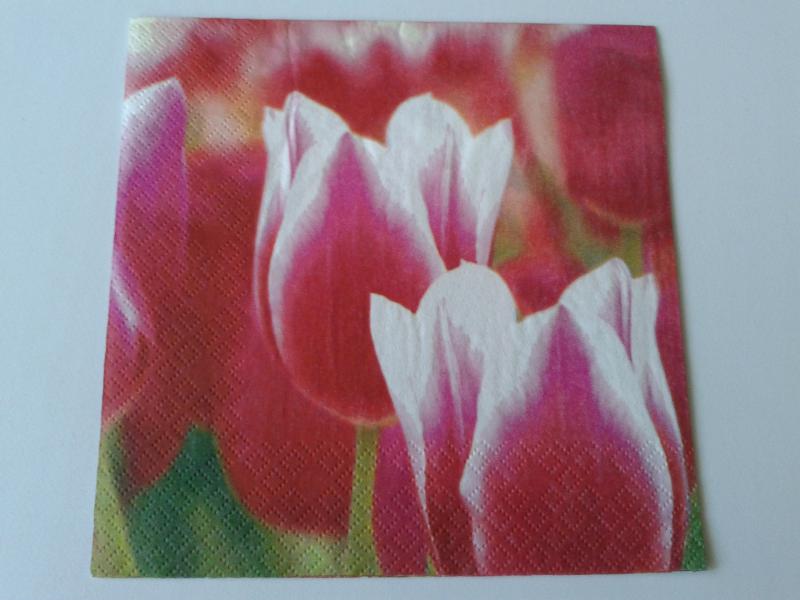 SZV41 Dekoupage - Fehér szélű tulipánok 3 rétegű szalvéta
