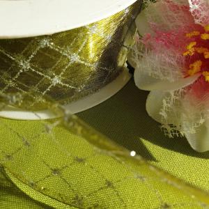 25SLM18 - 50mm-es kockás organza szalag dróttal - zöld