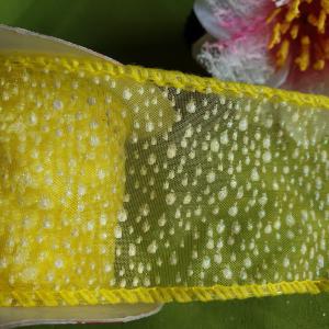 50SZOM - 50mm-es drótos organza szalag - citromsárga pöttyös - 240cm