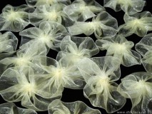 ESKÜVŐI dekor  - 60x40mm-es organza masni - több színben