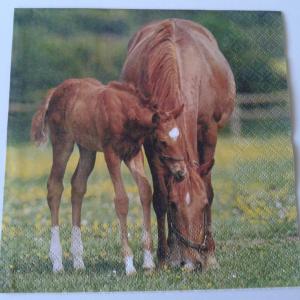 SZV05 Dekoupage - Ló és kiscsikó a réten 3 rétegű szalvéta