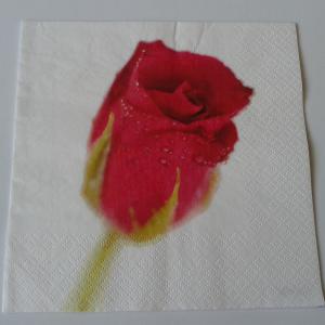 SZV35 Dekoupage - Piros rózsabimbó 3 rétegű szalvéta