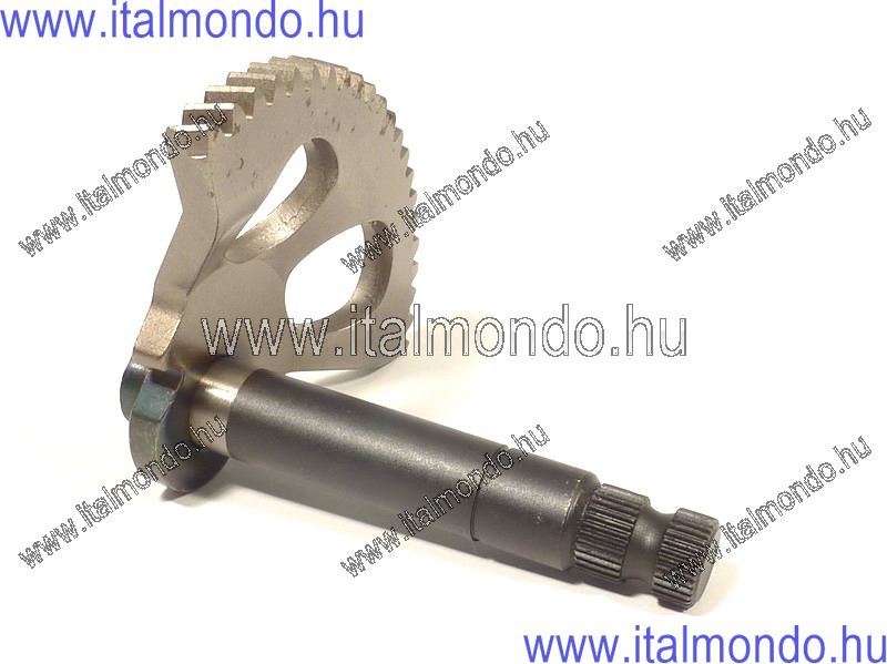 berugó fogasív F12R 2007-től kínai blokkos BUZZETTI