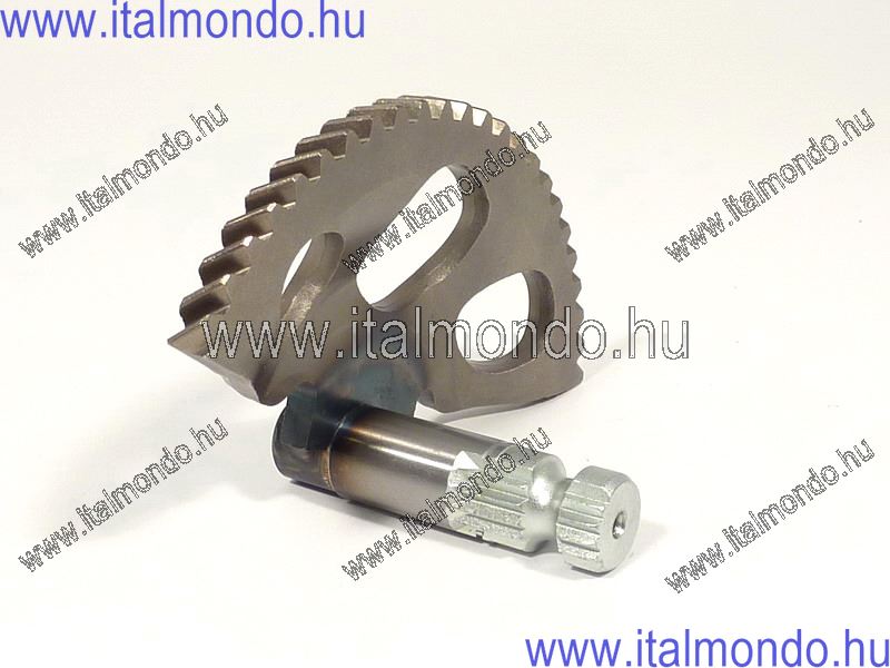 berugó fogasív PIAGGIO-GILERA 50 2T-4T DR