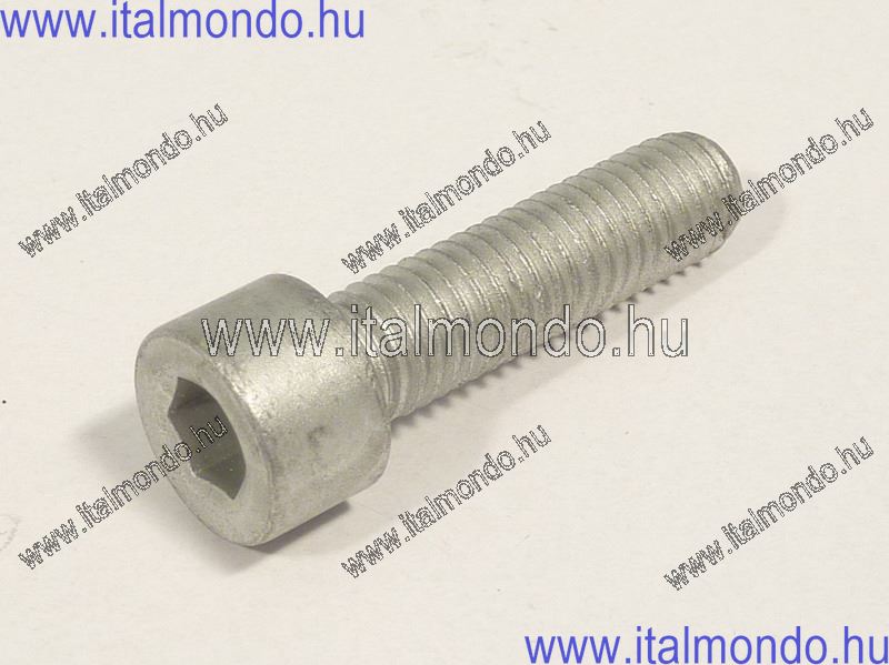 csavar 8x30 tükörhöz SR FACTORY jobbmenetes APRILIA