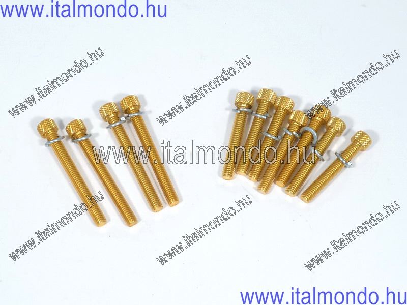 csavarklt.carter PEUGEOT arany TNT