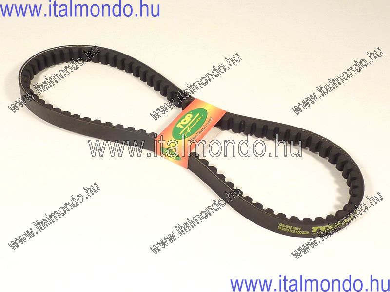 ékszíj F10-JOG-ZEST-CHAMP-SONIC-CPI TOP PERFORMANCES