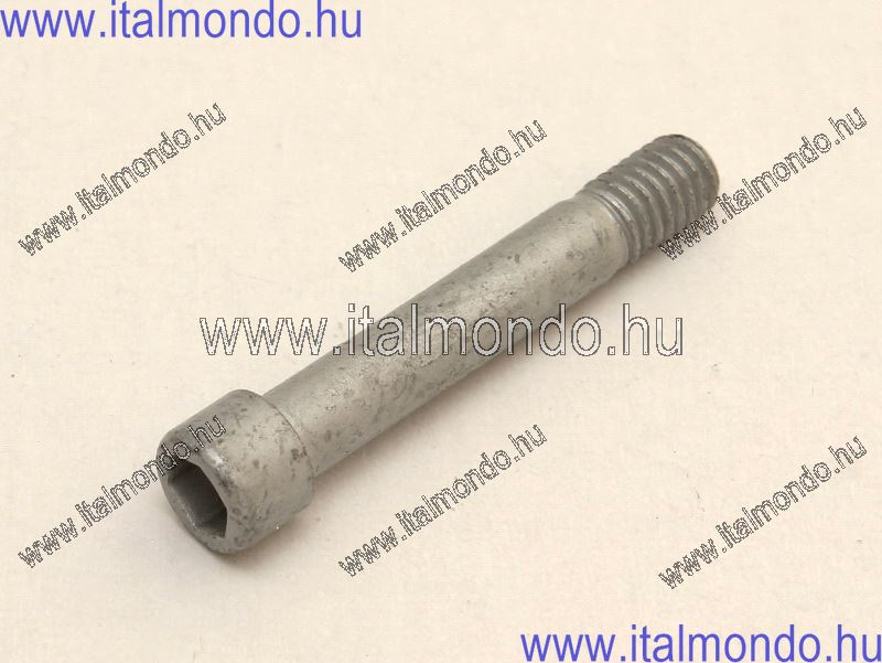 fékbetét rögzítő csap XSM 50 MALAGUTI