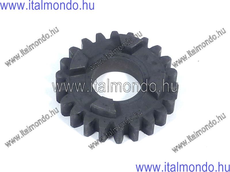 fogaskerék AM5 Z=22 primertengelyre MOTORI MINARELLI