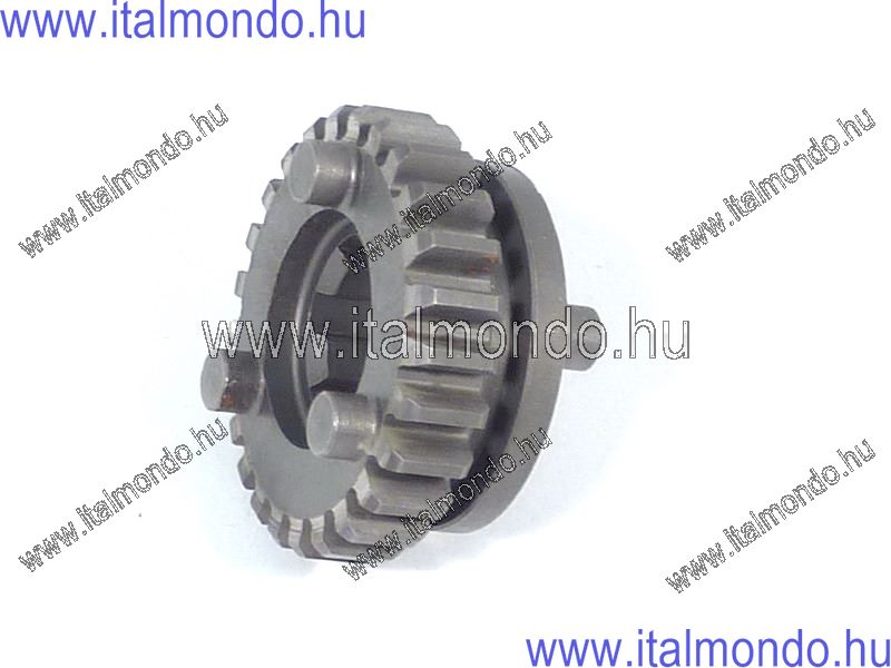 fogaskerék AM5 Z=25 szekundertengelyre MOTORI MINARELLI