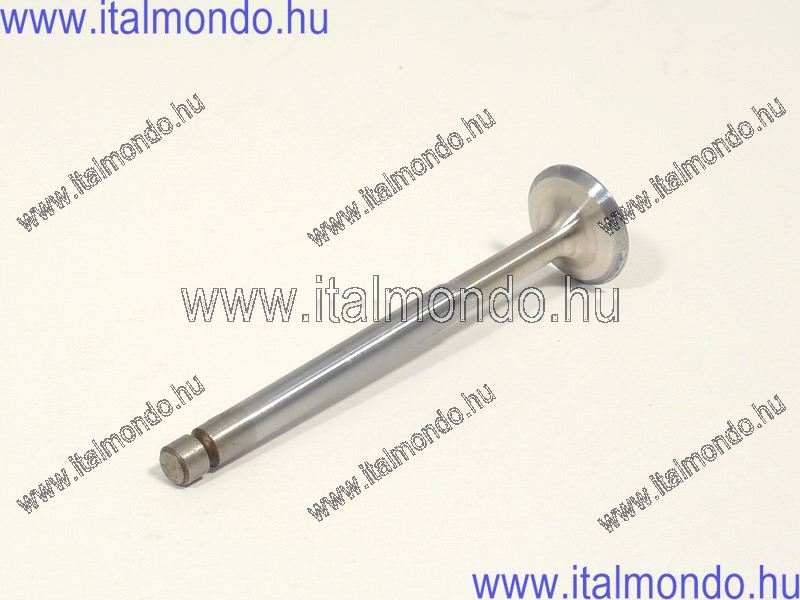 kipufogószelep ZIP 50-ET4 50