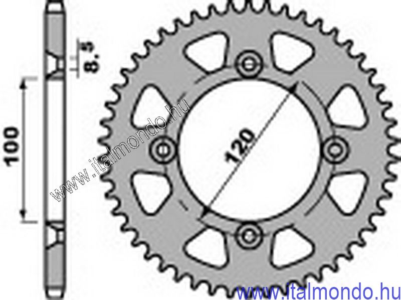 lánckerék hátsó BETA RR 125 2007 P.B.R.
