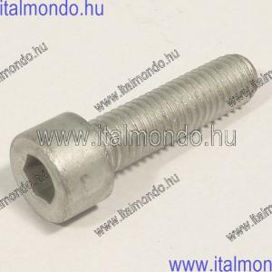 csavar 8x30 tükörhöz SR FACTORY jobbmenetes APRILIA