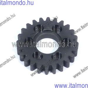 fogaskerék AM5 Z=24 primertengelyre MOTORI MINARELLI