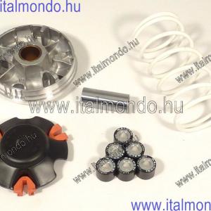 variátor RUNNER-STALKER-LIBERTY-NRG POWER 19-es g. MALOSSI