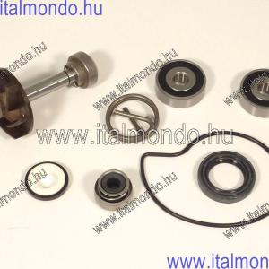 vízszivattyú kit BEVERLY-MP3-GTV-X9 250 CIF