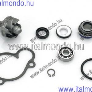 vízszivattyú kit MAJESTY 250-LEO 250 DR