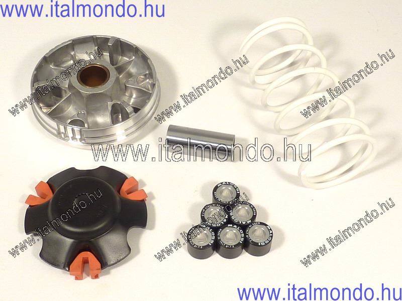 variátor RUNNER-STALKER-LIBERTY-NRG POWER 19-es g. MALOSSI