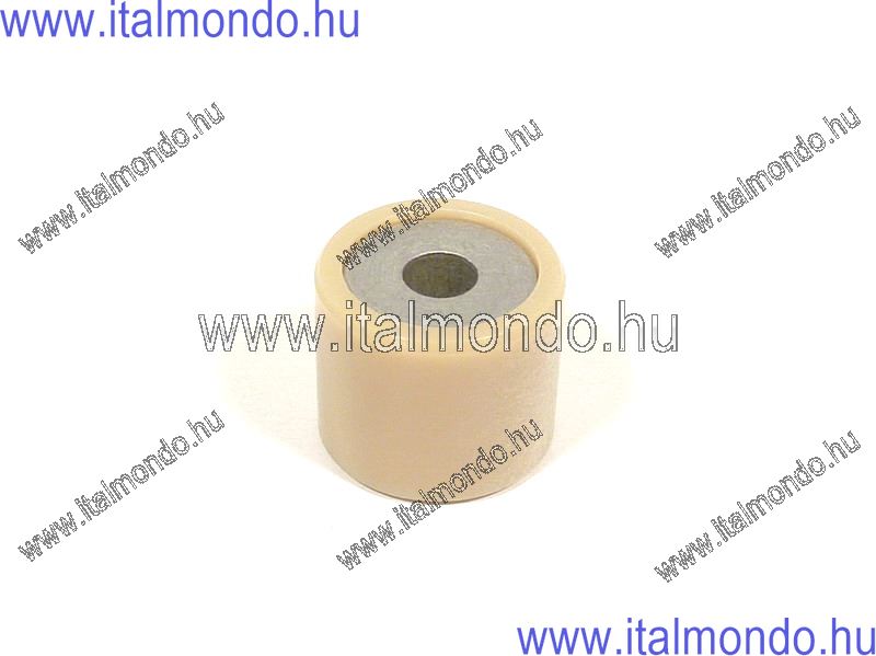 variátorgörgő 20x17 8,86 gr LEONARDO 125 APRILIA