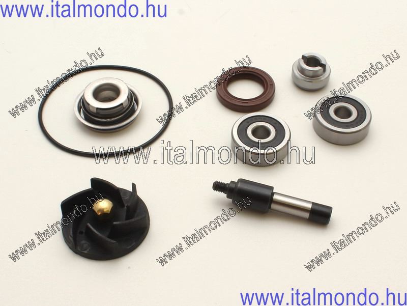 vízszivattyú kit BEVERLY-MP3-GTV-SCARABEO 250-500 DR