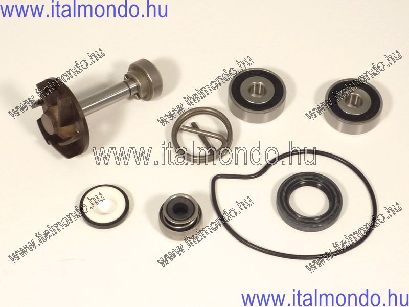 vízszivattyú kit BEVERLY-MP3-GTV-X9 250 CIF
