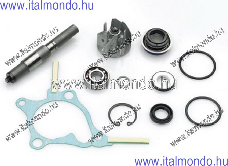 vízszivattyú kit HONDA FORESIGHT 250 DR