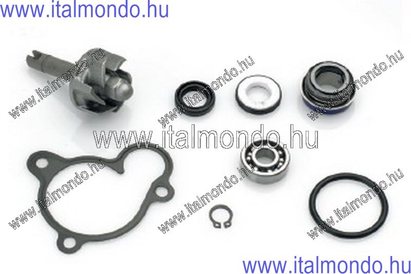 vízszivattyú kit MAJESTY 250-LEO 250 DR