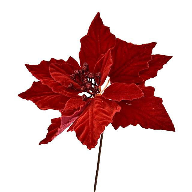 Betűzős mikulásvirág, bársony, piros.  Mérete: 12 cm