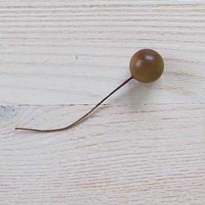 Drótos bogyó, barna. Bogyó átmérője: 14 mm