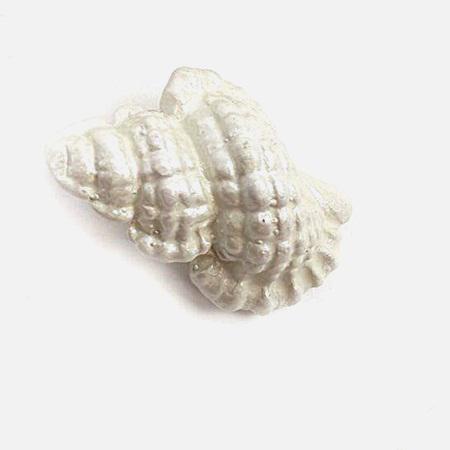 Gyöngyházas polyresin kagyló, mérete: kb. 40 mm