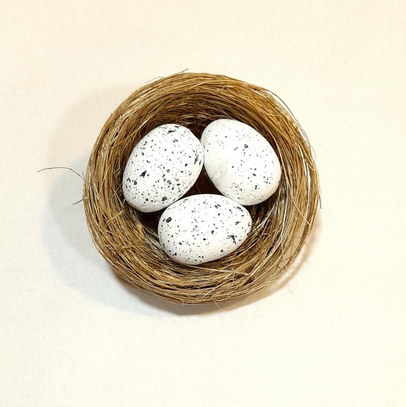 Három fehér tojás fészekben. Fészek mérete: 60x25 mm, tojás mérete: 17x25 mm