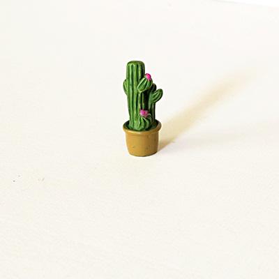 Mini poly kaktusz, mérete: 27x30 mm