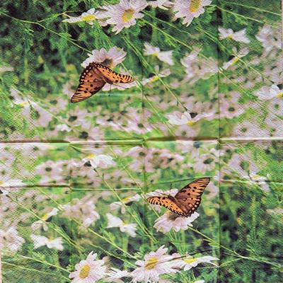 Papírzsepi – margarétás rét pillangóval