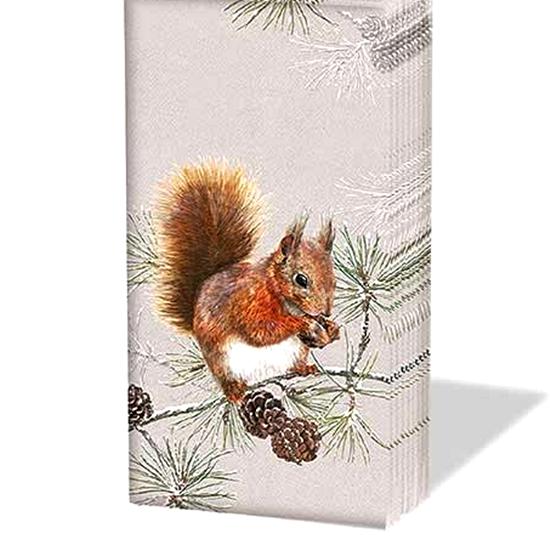 Papírzsepi – Squirrel in winter