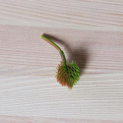 Pozsgás műnövény, bogyó mérete: 25x25 mm, szárral együtt a hossza: 65 mm