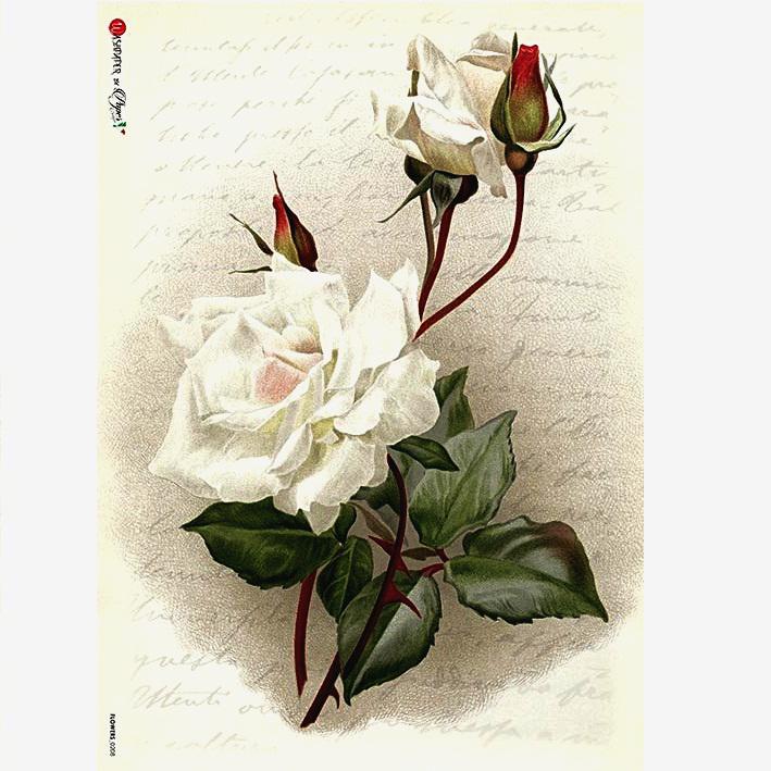 Rizspapír - fehér rózsa