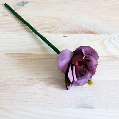 Rózsaszál, bordós-lila. Virág átmérője: 50 mm, teljes hossz: 250 mm.