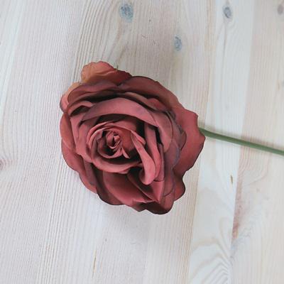 Rózsaszál, ódon bordó. Virág átmérője: 100 mm